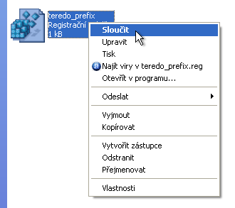 teredo_prefix teredo_prefix.png